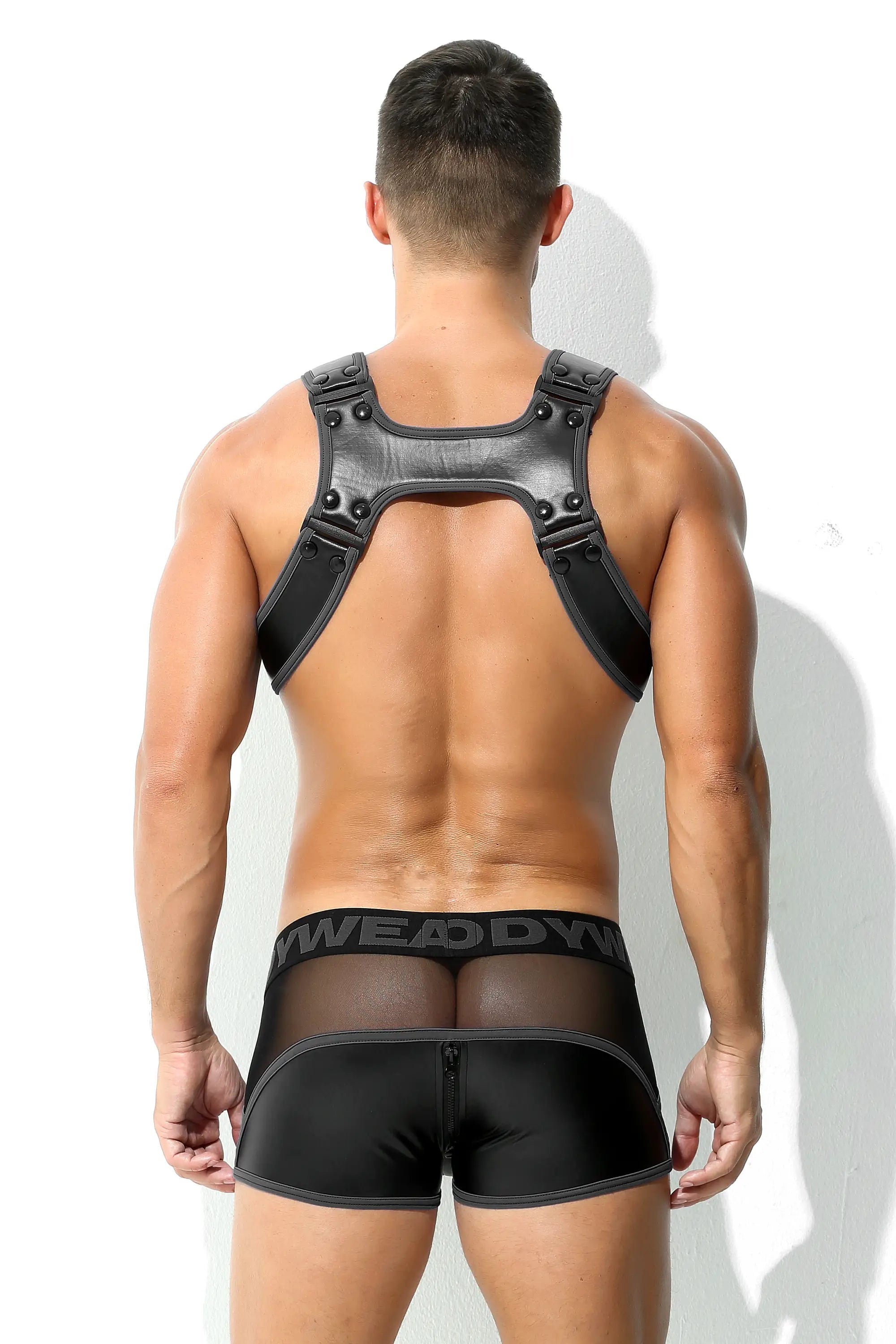 Herren Maskuline Bulldog Harness Geschirr Schwarz Leder Optik Matt